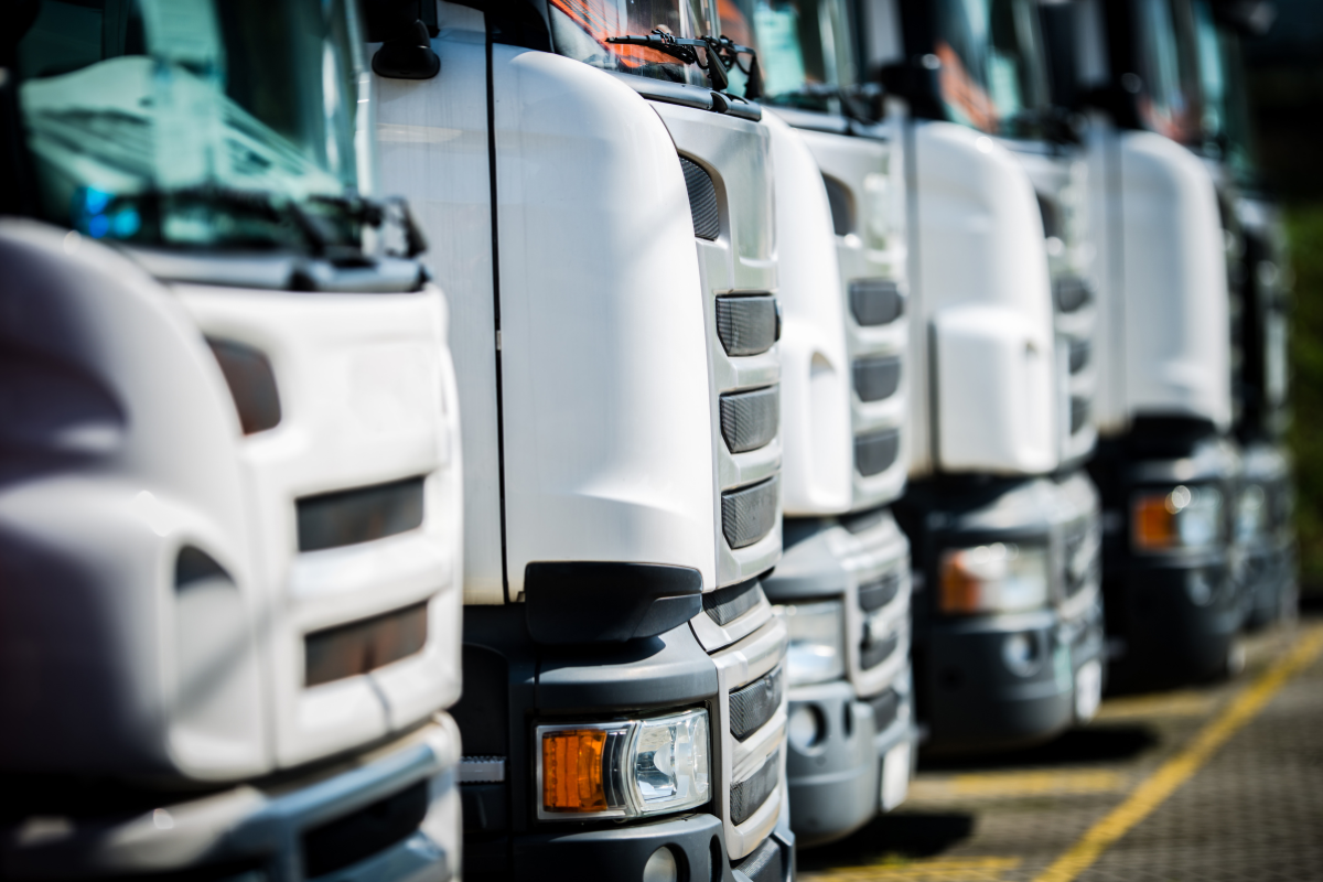  fleet operators